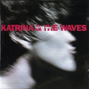 Download track Tin Horse Katrina And The Waves