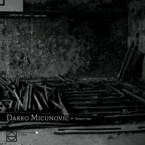 Download track Never Darko Micunovic