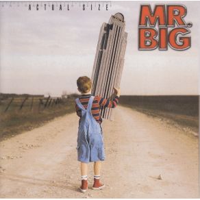 Download track Nothing Like It In The World Mr. Big