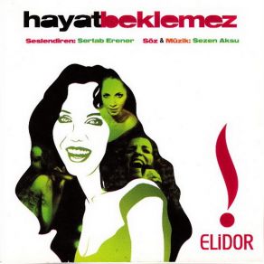 Download track Hayat Beklemez (Remix) Sertab Erener