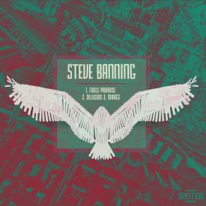 Download track Fools Paradise Steve Banning