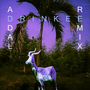 Download track Drinkee (Addal Remix) Sofi Tukker