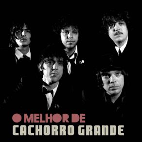 Download track Você Não Sabe O Que Perdeu Cachorro Grande