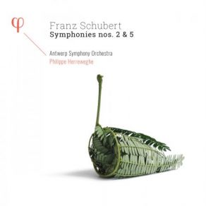 Download track Symphony No. 2 In B-Flat Major, D. 125- II. Andante Philippe Herreweghe, Antwerp Symphony Orchestra