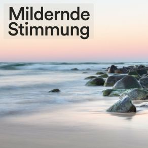 Download track Entspannende Klänge Zur Ruhe Ruhige Entspannende Atmosphäre