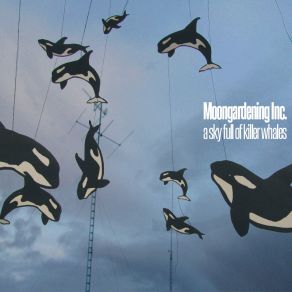 Download track The Killer Whales Moongardening Inc