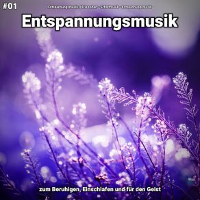 Download track Entspannungsmusik Pt. 80 Entspannungsmusik