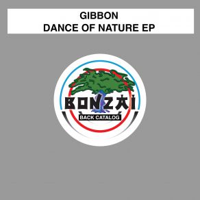 Download track Meanders (Dub Mix) Gibbon