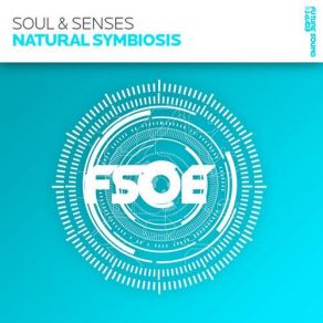 Download track Natural Symbiosis (Indecent Noise Remix) Soul & Senses