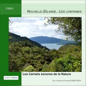 Download track Otago Péninsule: Le Petit Manchot Bleu Fernand Deroussen