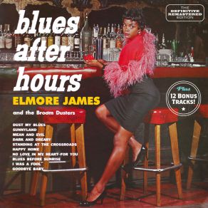 Download track Baby What's Wrong Elmore James