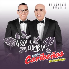 Download track La Farza Orquesta Caribeños De Guadalupe