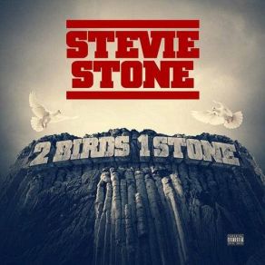 Download track In My Zone Stevie Stone