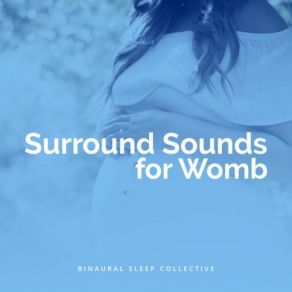 Download track Wind Through The Waves (Ambient) Binaural Sleep Collective