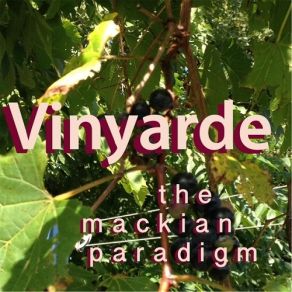 Download track Ecuador The Mackian Paradigm