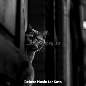 Download track Cuddly (Training Cats) Deluxe Music For Cats