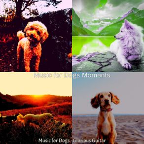 Download track Urbane Backdrops For Cute Puppies Music For Dogs Moments