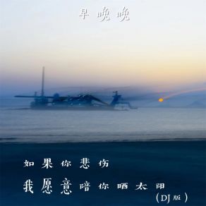 Download track 如果你悲伤 我愿意陪你晒太阳 (Dj版) 廖光明