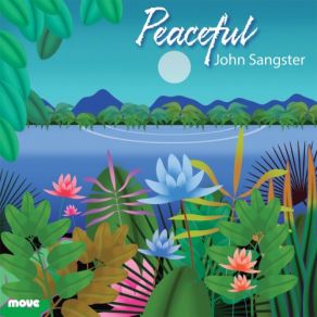 Download track Reflections For The Little Flute John Sangster