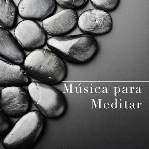 Download track Música Zen Meditation Dominion