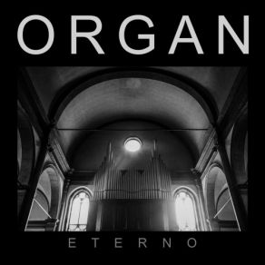 Download track Aidel Organ