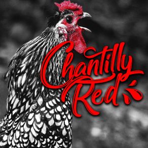 Download track A New Born Child Chantilly Red