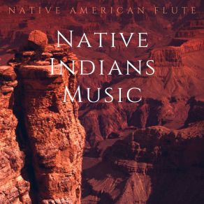 Download track Moon Visions - Beach Sounds Native American Flute