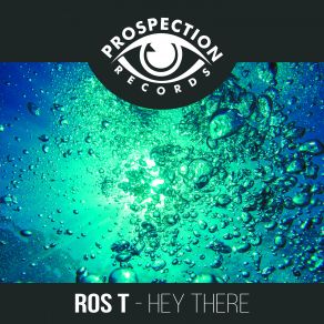 Download track Hey There (Original Mix) Ros T