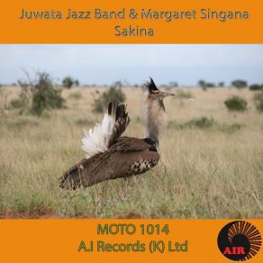 Download track Why Did You Do It Juwata Jazz Band