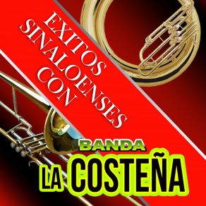 Download track El Muchacho Alegre Banda La Costeña