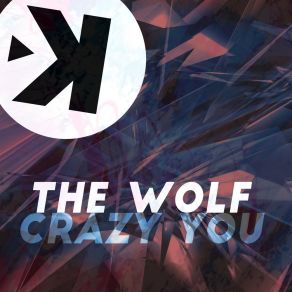 Download track Crazy You (Lndr Extended Mix) Wolf