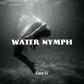 Download track Milliliter Surfel Leo Li