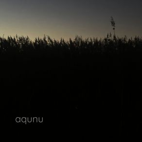 Download track Midnight In The Wetland Aqunu