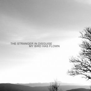 Download track My Bird Has Flown The Stranger In Disguise