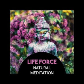 Download track Sound Of Hope Buddhist Meditation Music Set