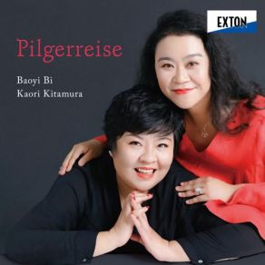 Download track Die Zufriedenheit, K. 349 Bi Baoyi, Kaori Kitamura