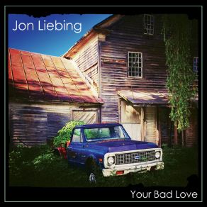 Download track Too Many Days Jon Liebing