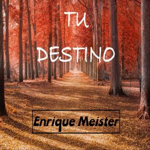 Download track Tu Destino Enrique Meister