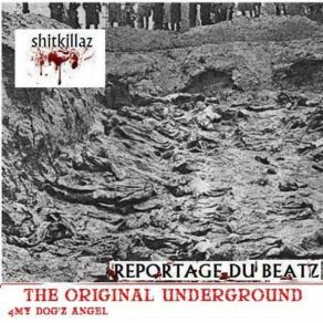 Download track Reintroduction To The Beatz SHITKILLAZ