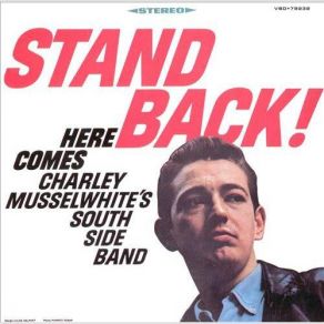Download track Sad Day Charlie Musselwhite