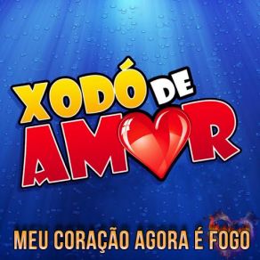 Download track Meu Coração Agora É Fogo Xodó De Amor