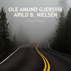 Download track På Vei Hjem Ole Amund Gjersvik, Arild B. Nielsen