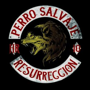 Download track Boludo En 5ta Perro Salvaje