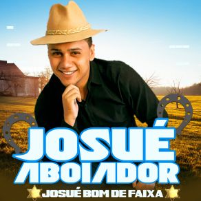 Download track Basta Voce Me Ligar Josué Aboiador