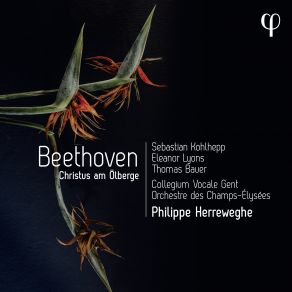 Download track Beethoven Christus Am Ölberge, Op. 85 VIII. Duet. So Ruhe Denn Mit Ganzer Schwere Collegium Vocale, Orchestre Des Champs-Élysées, Philippe Herreweghe