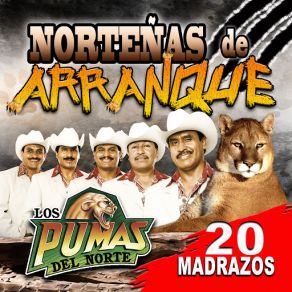 Download track Que Milagro Chaparrita Los Pumas Del Norte