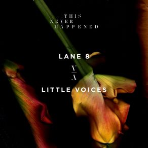 Download track Little Voices Lane 8