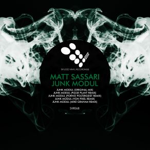 Download track Junk Modul (Porno Poltergeist Remix) Matt Sassari