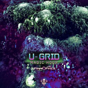 Download track Magic Hours U-Grid