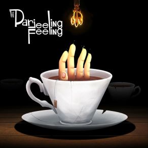 Download track Signal To Noise The Darjeeling Feeling